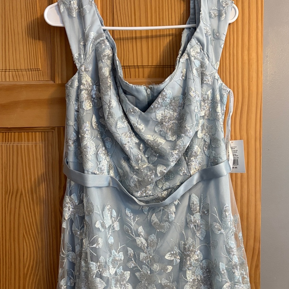 Oleg Cassini Light Blue Gown with Silver Embroidery